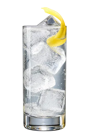 GIN & TONIC